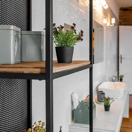 Apartman Vintage Industrial *