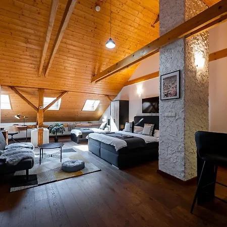 Apartament Vintage Industrial Koszyce