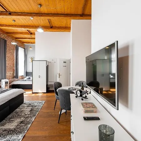 Vintage Industrial Apartament