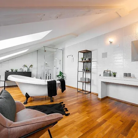 Vintage Industrial Apartament