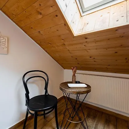Vintage Industrial Apartament