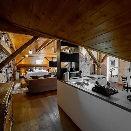 Apartament Vintage Industrial