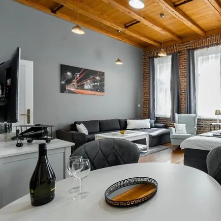 Vintage Industrial Apartament *